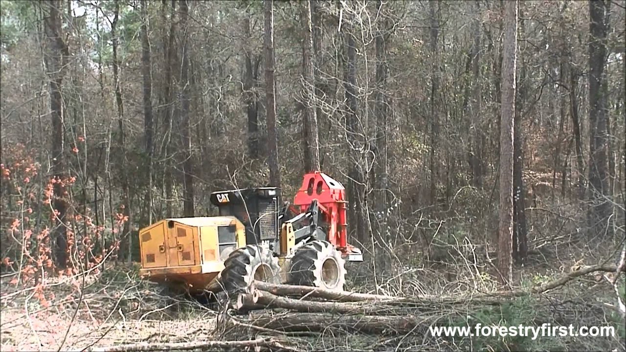 2014 CAT 573C Fellerbuncher with 1900 Hours at Forestry First