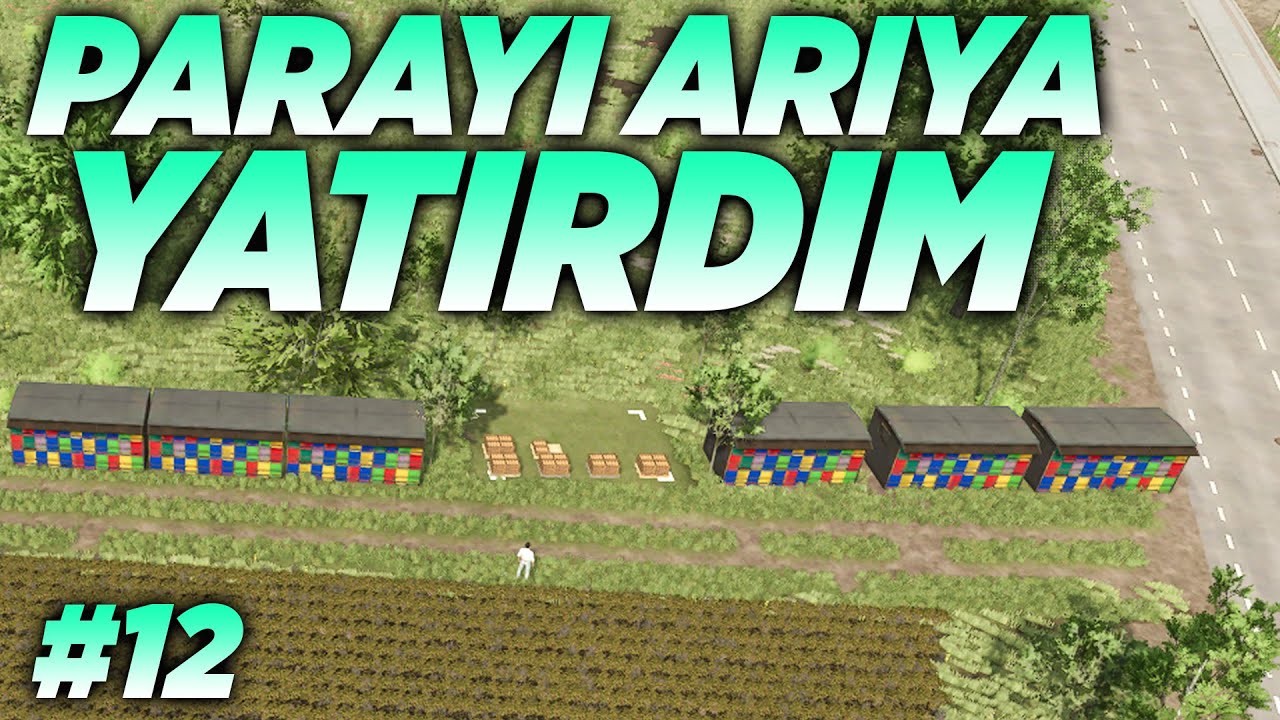 KOYUN YÜNLERİNİ SATTIM BÜTÜN PARA İLE ARI SATIN ALDIM | FS 25 kariyer serisi bölüm 12