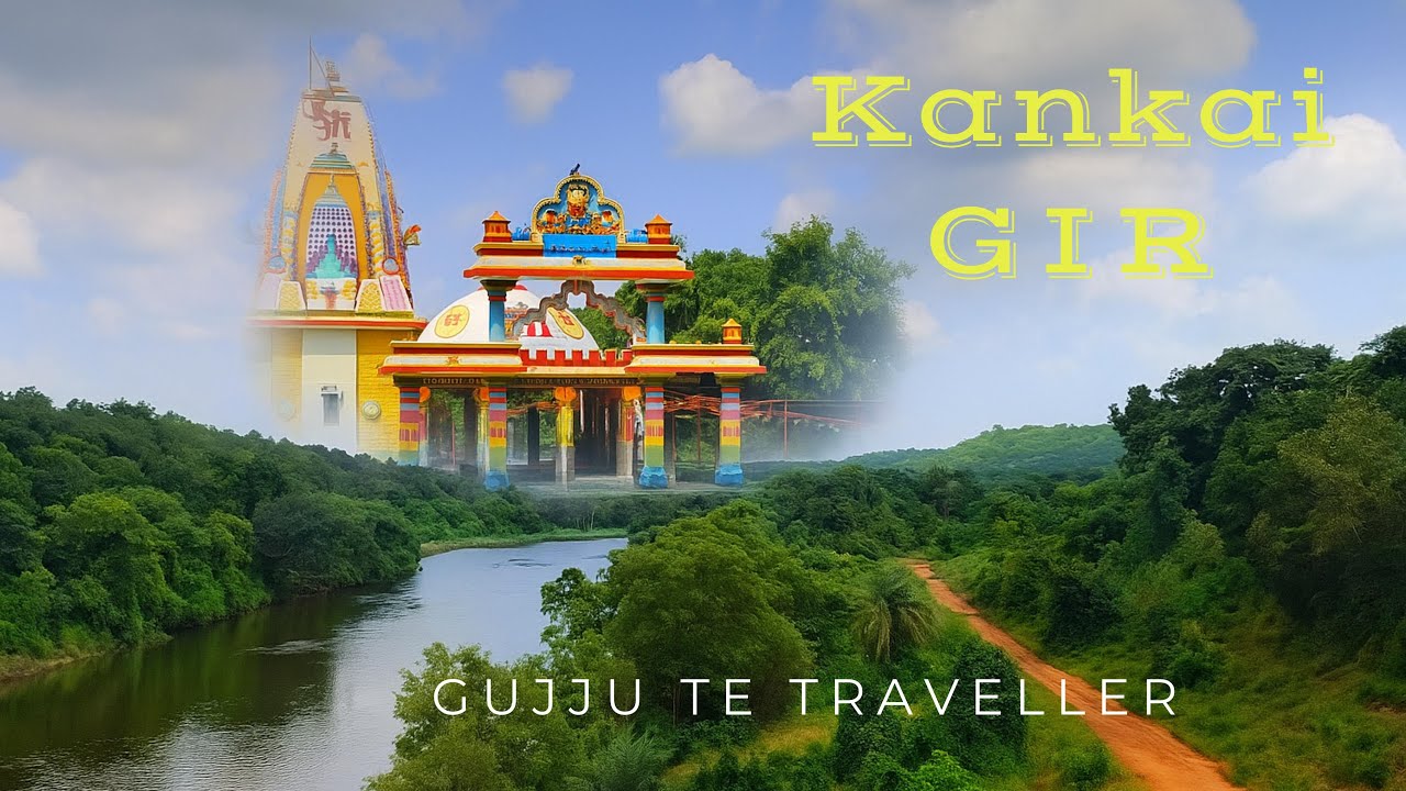 In to the GIR FOREST - kankai #girforest #lion #forest