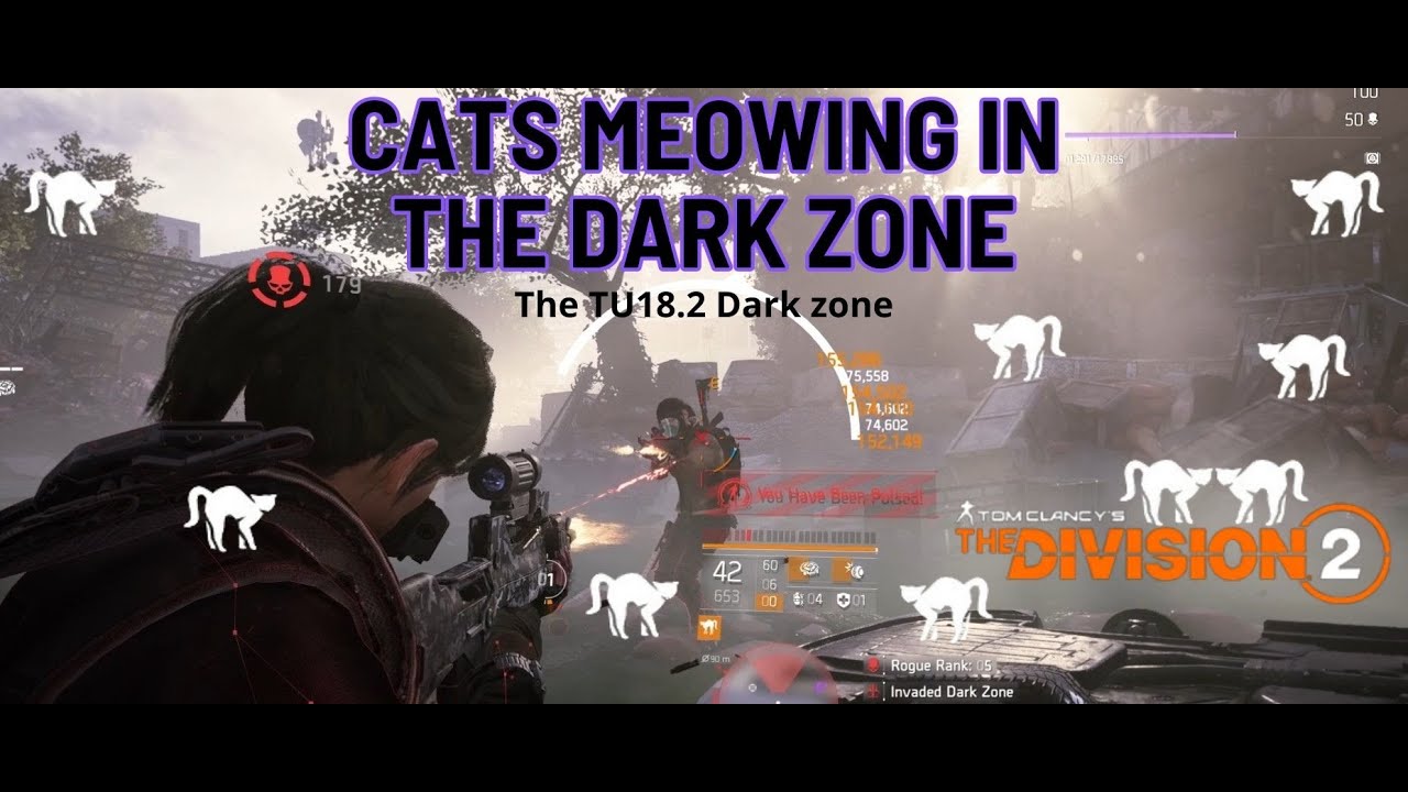 The Division 2 .Cats Meowing in the Dark zone.(TU18.2 Dark zone PvP)