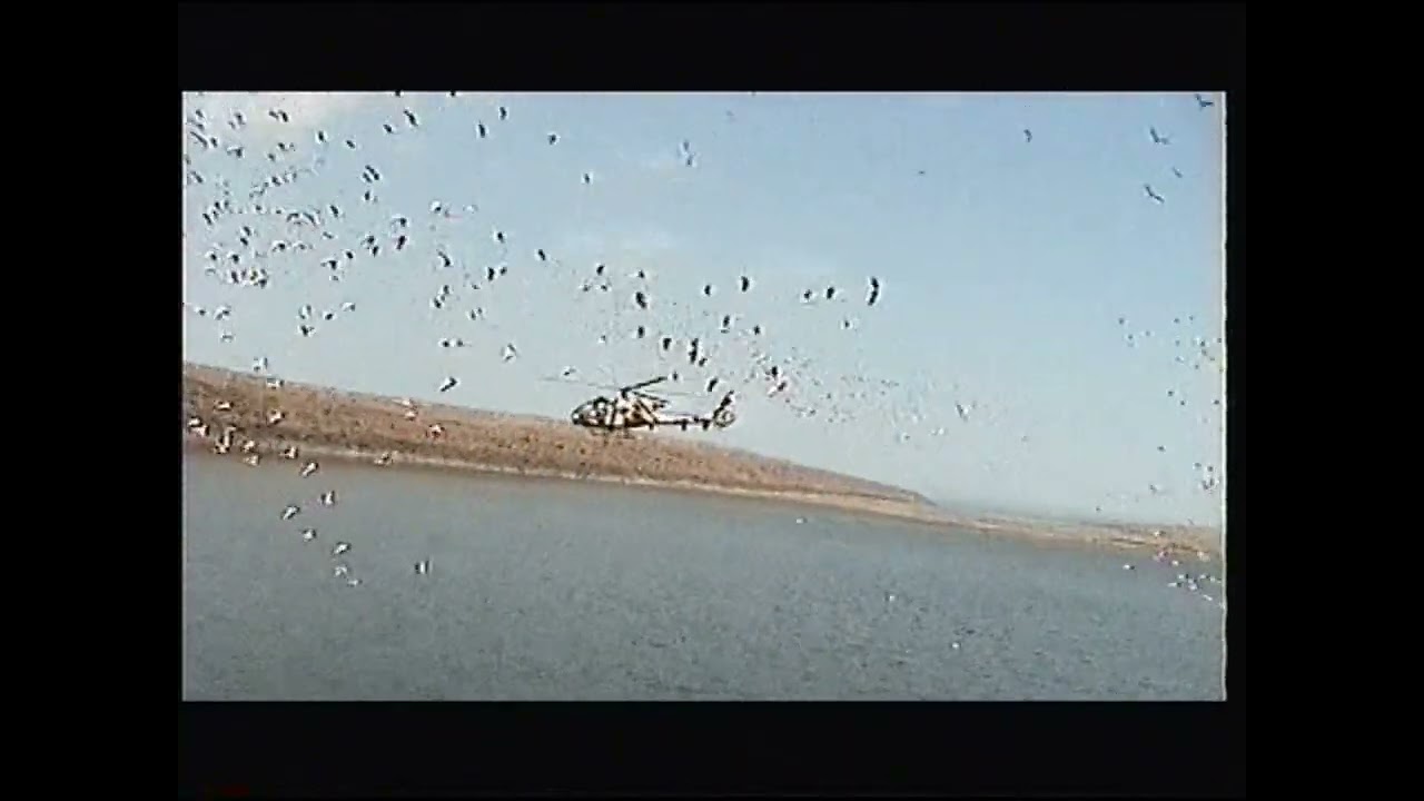 Djibout vol tac 1999