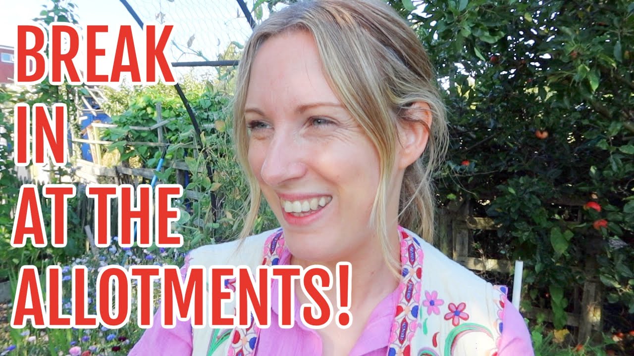 BREAK IN AT THE ALLOTMENTS / EMMA'S ALLOTMENT DIARIES