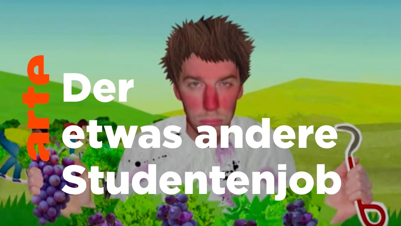 Die Weinlese | Karambolage | ARTE