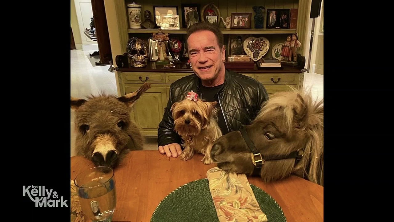 Arnold Schwarzenegger’s Menagerie of Miniature Animals