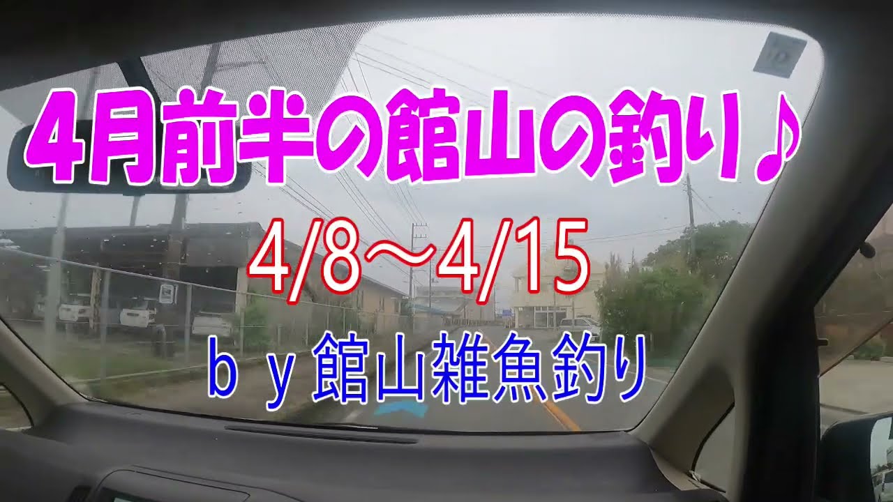 ４月前半の館山の釣り　4/8～15　ｂｙ館山雑魚釣り