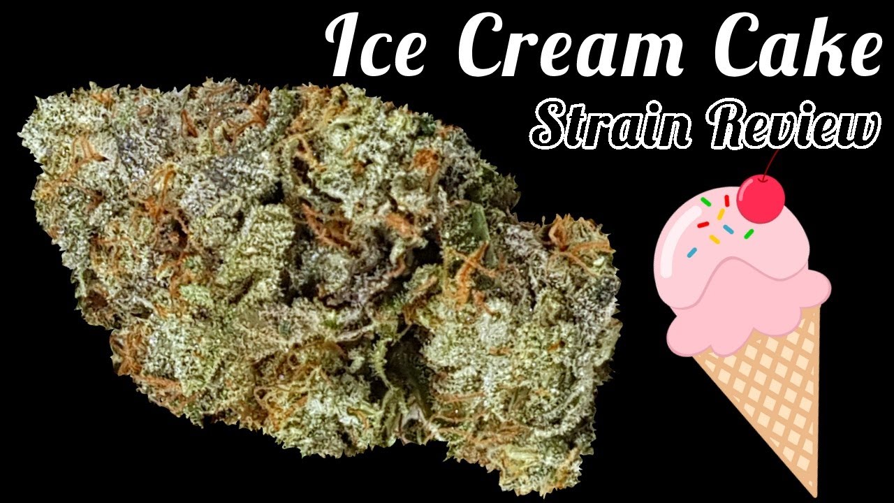 Ice Cream Cake OFFICIAL Strain Review 🎂