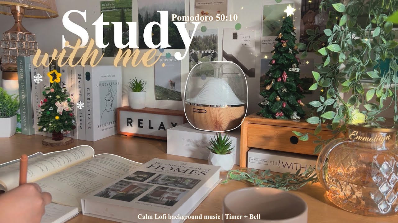 4-HOUR🎄Study With Me • Lofi bgm • Pomodoro 50-10 • Day284🪴