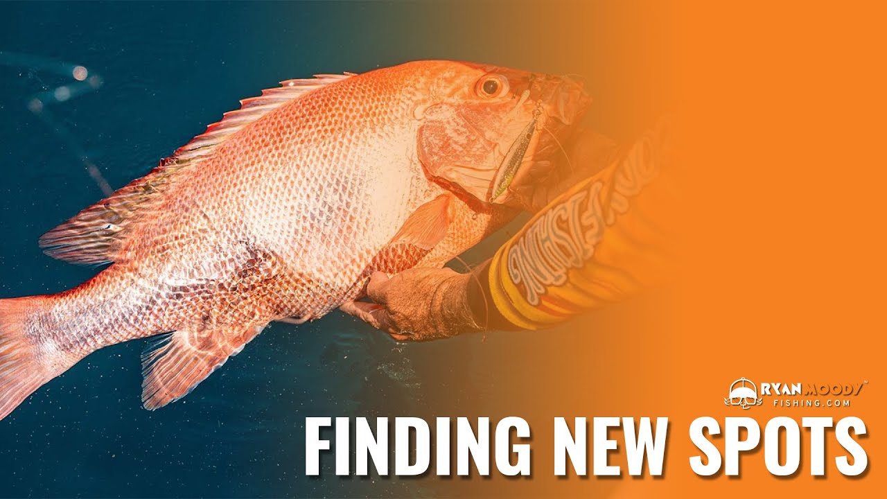 Exploring my new backyard. Finding new ground and big hungry fish.