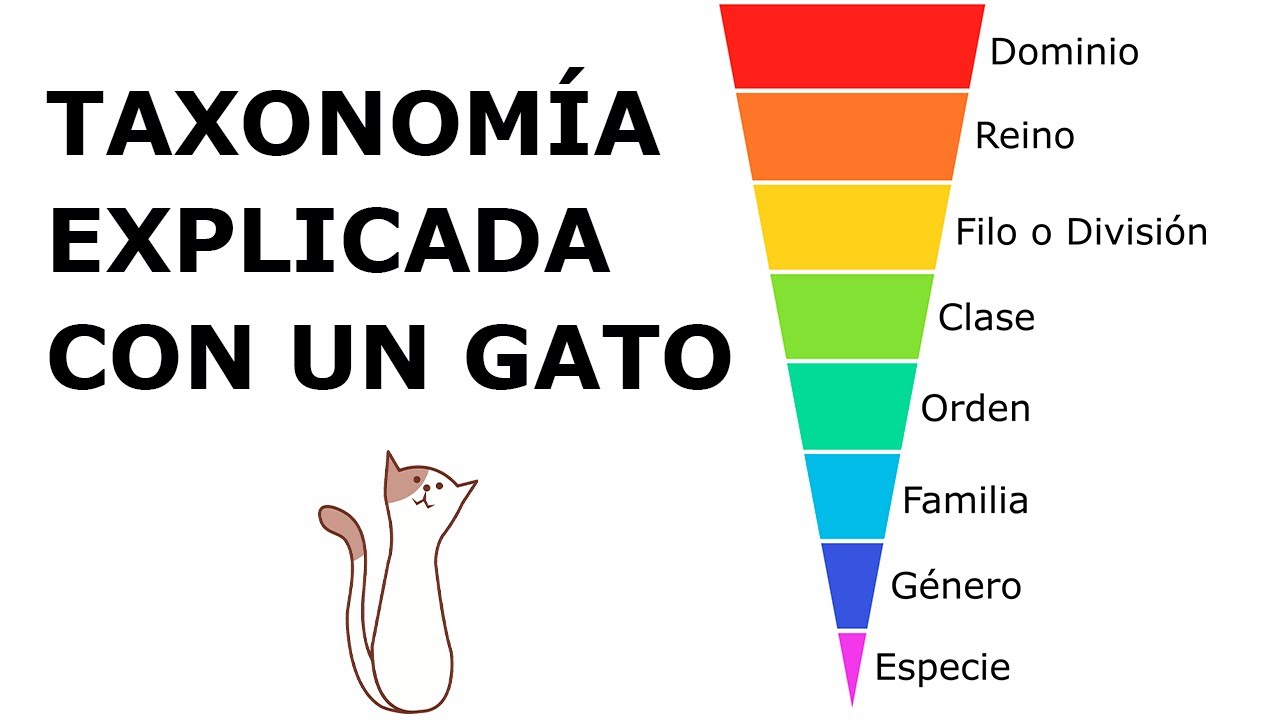 ¿Qué es la taxonomía biológica?