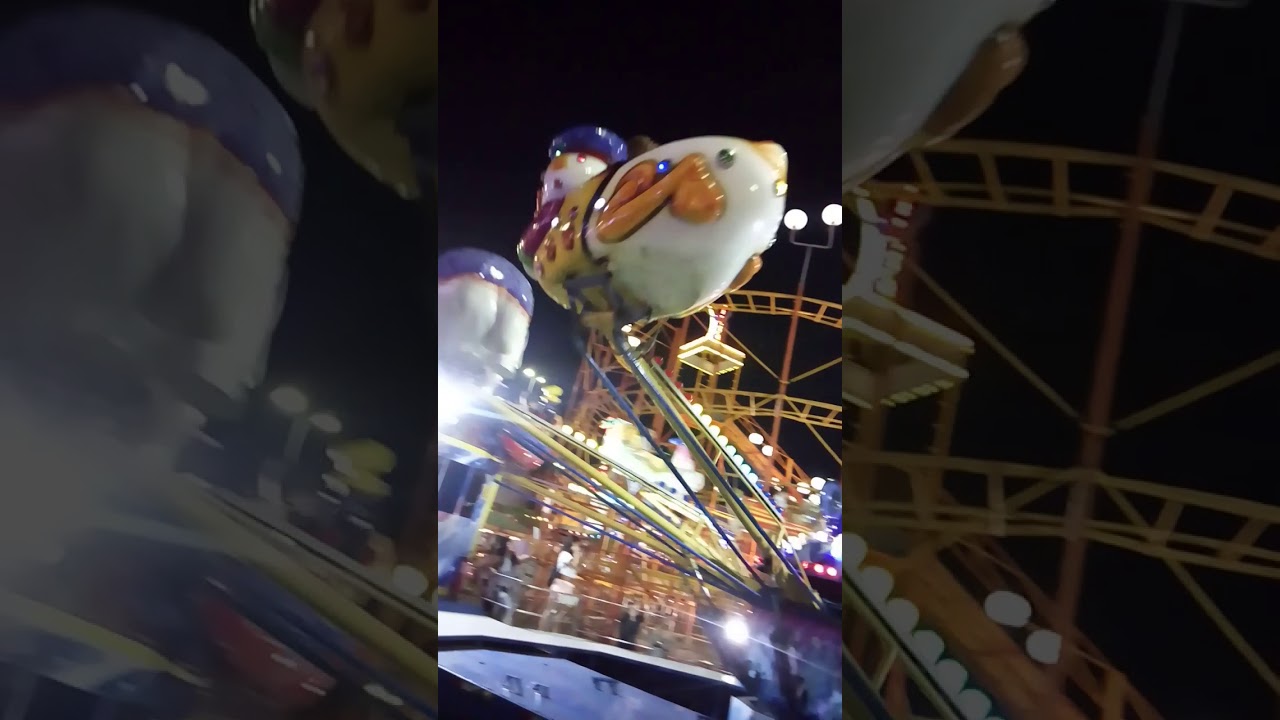 Cajusinho no patinho