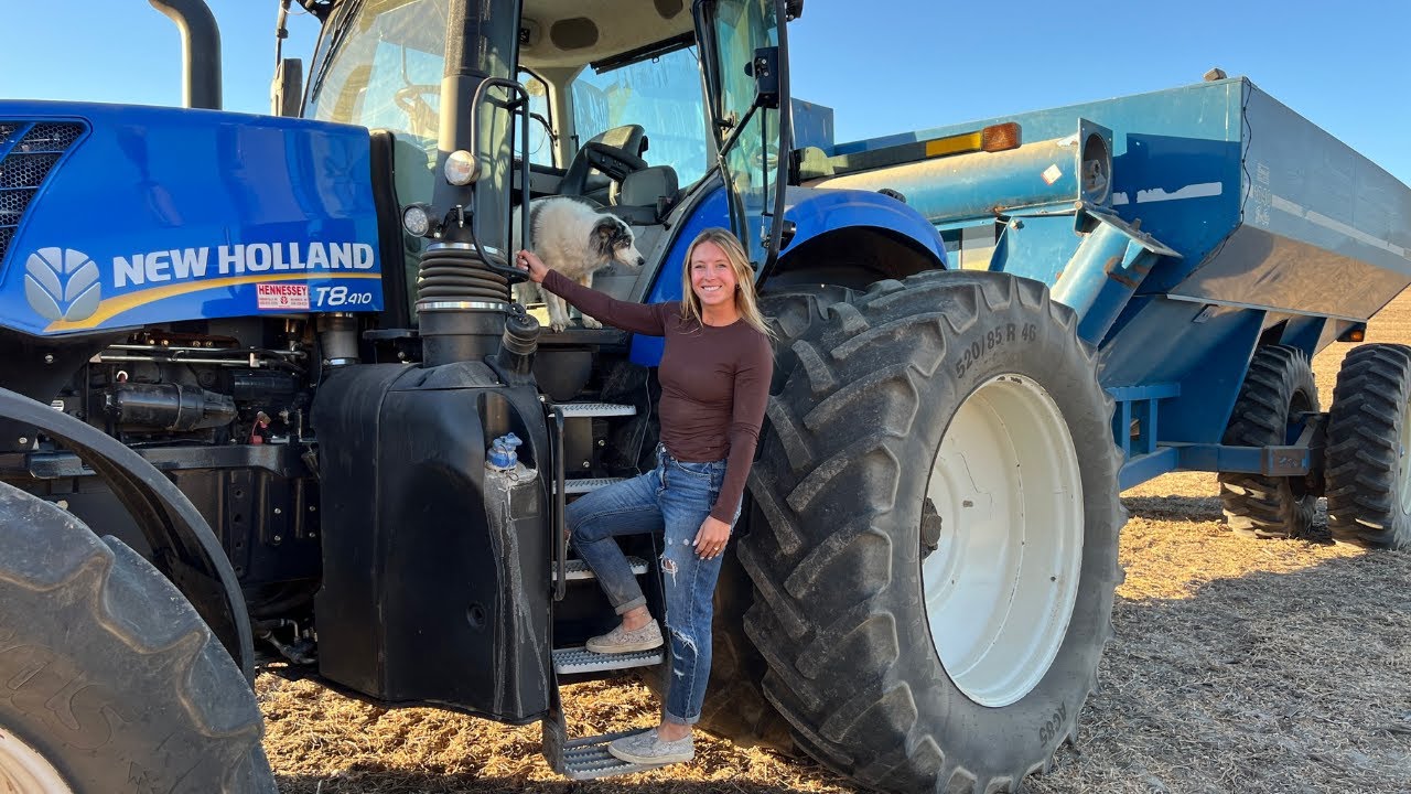 Ошибка новичка в выборе девушки-возчицы зерна | День урожая 14