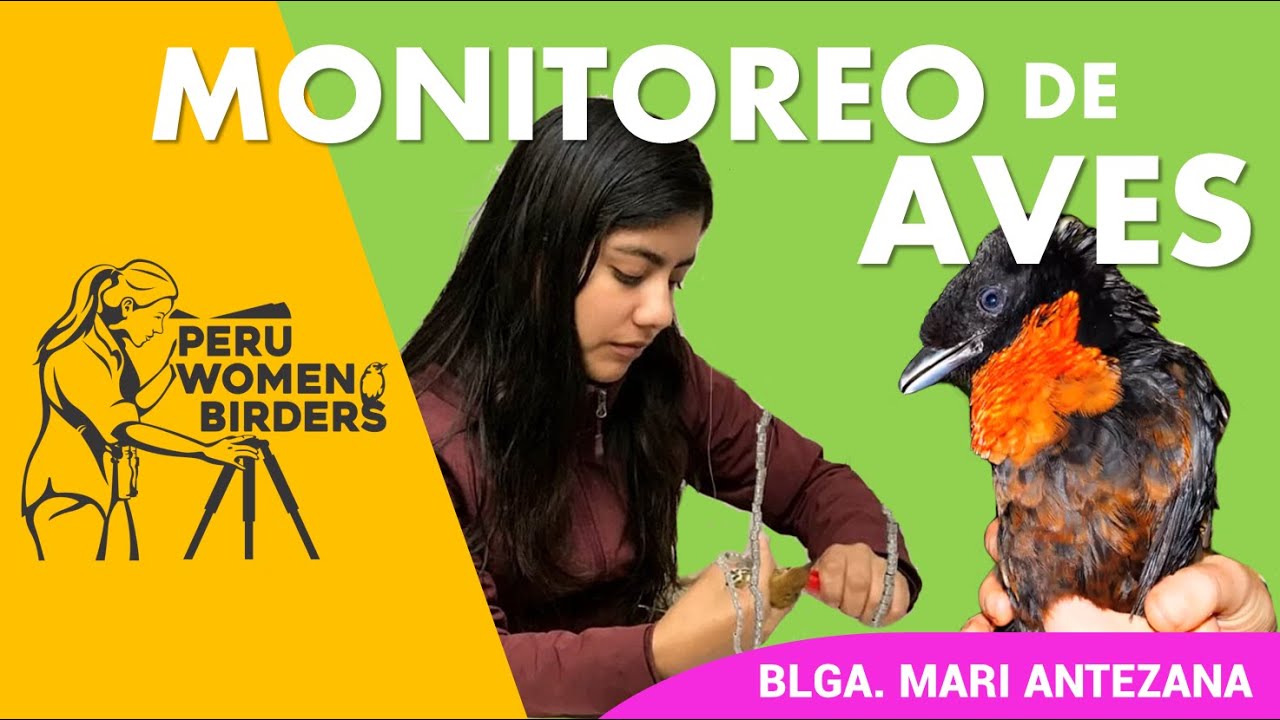 MONITOREO A TRAVES DEL USO DE REDES DE NEBLINA | Mari Antezana Aponte