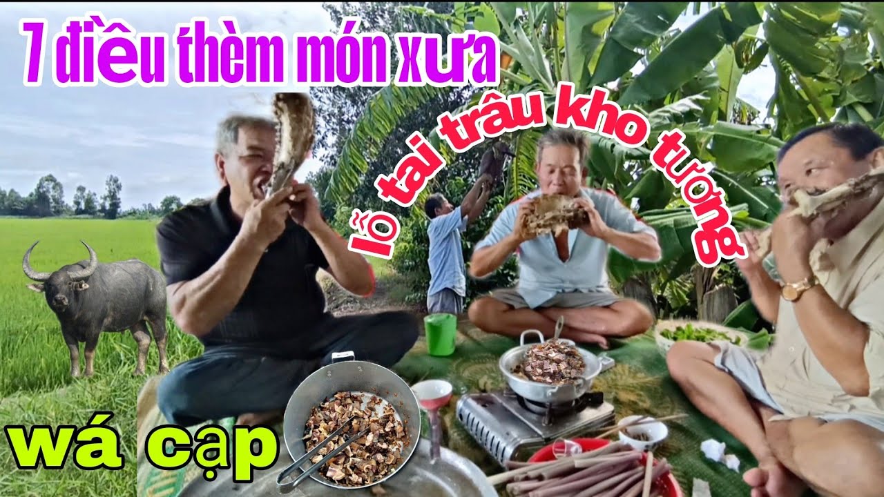 1 Món Ăn Rất Xưa: Ôg 7 Điều rất thích,Lỗ tai Trâu kho tương. Lâu lắm rồi mới được ăn lại...