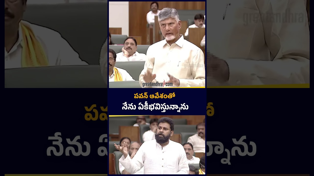 పవన్ ఆవేశంతో నేను ఏకీభవిస్తున్నాను : Chandra Babu | Greatandhra.com
