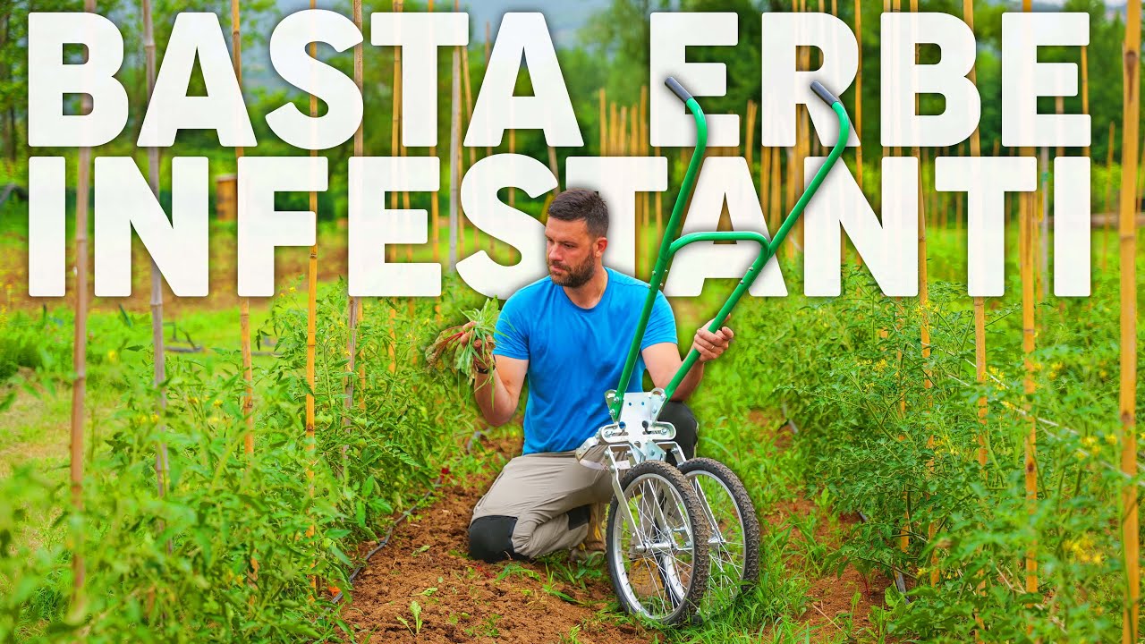 Uno strumento per TOGLIERE LE ERBE facilmente dall'orto