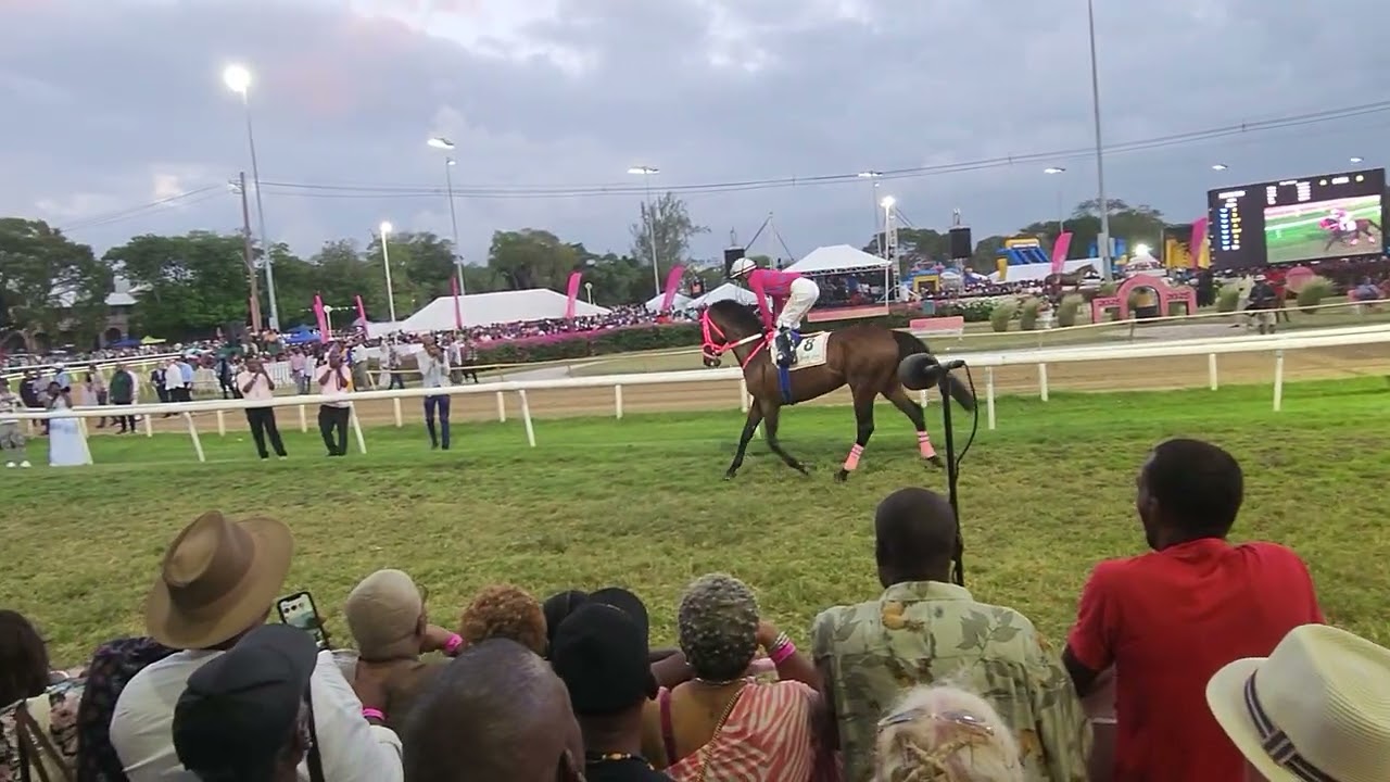Horse racing in Barbados.