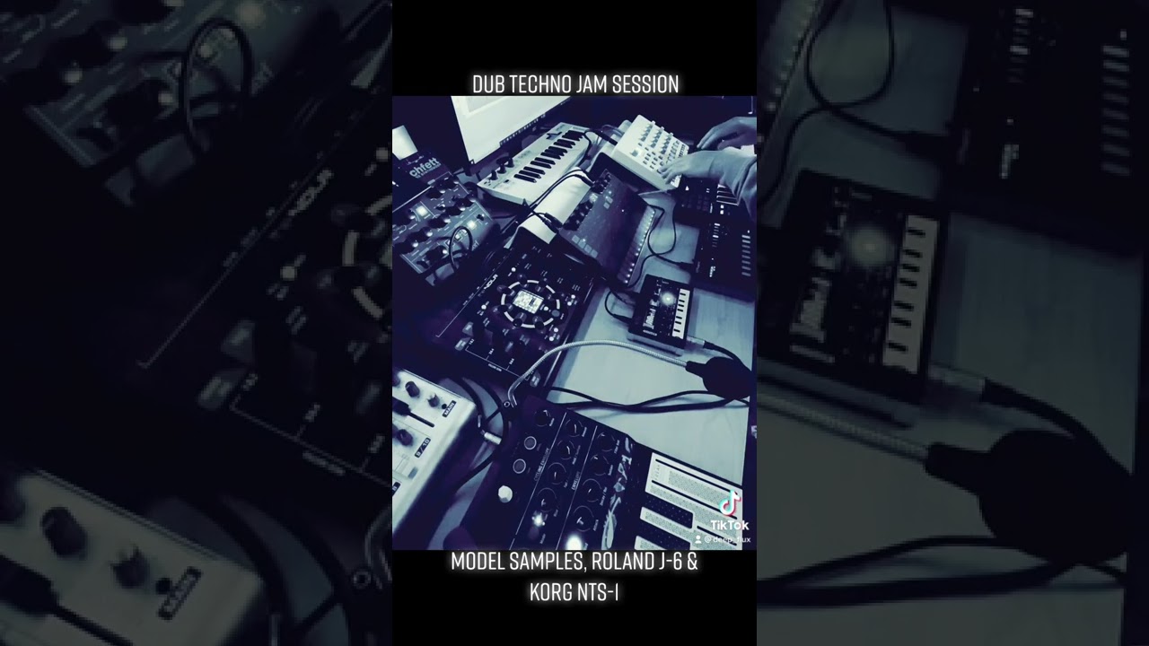 Dub Techno | Roland J-6 | Model Samples | Korg NTS-1