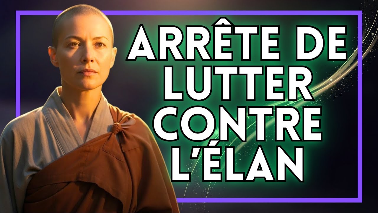 NE LUTTE PLUS : L'Univers Travaille Déjà Pour Toi | Sagesse Bouddhiste