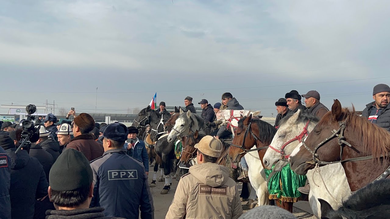 Namangan 2- Xalqaro zotdor otlar kõrgazmazi 14.12.2024yil