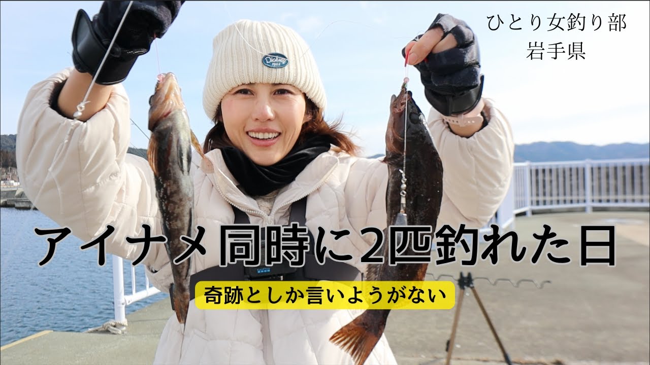 アイナメが同時に２匹釣れるなんて奇跡でしかない！ひとり女釣り部♪