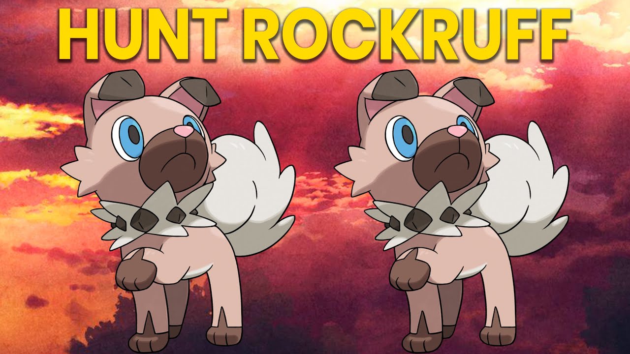 PXG ▶ Hunt Rockruff NW 🏹 - Cerulean - 300+