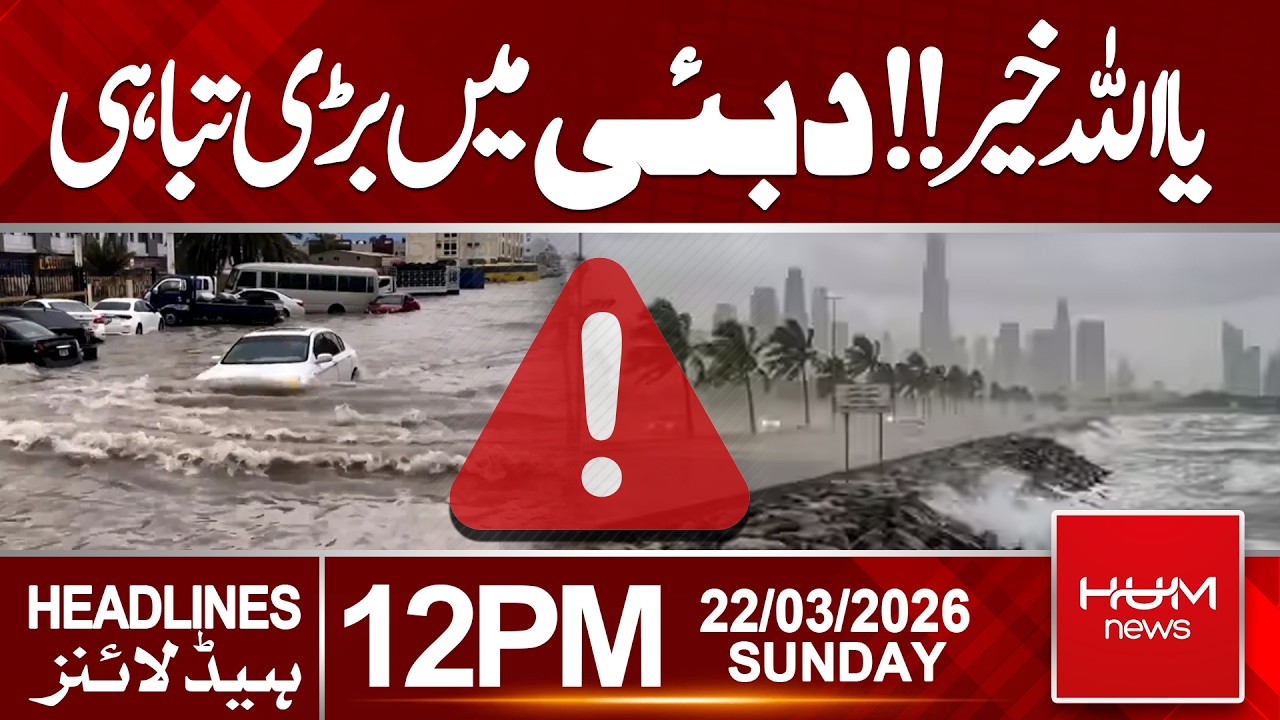 Massive Destruction in Dubai | 12 PM Headlines | Hum News | Pakistan