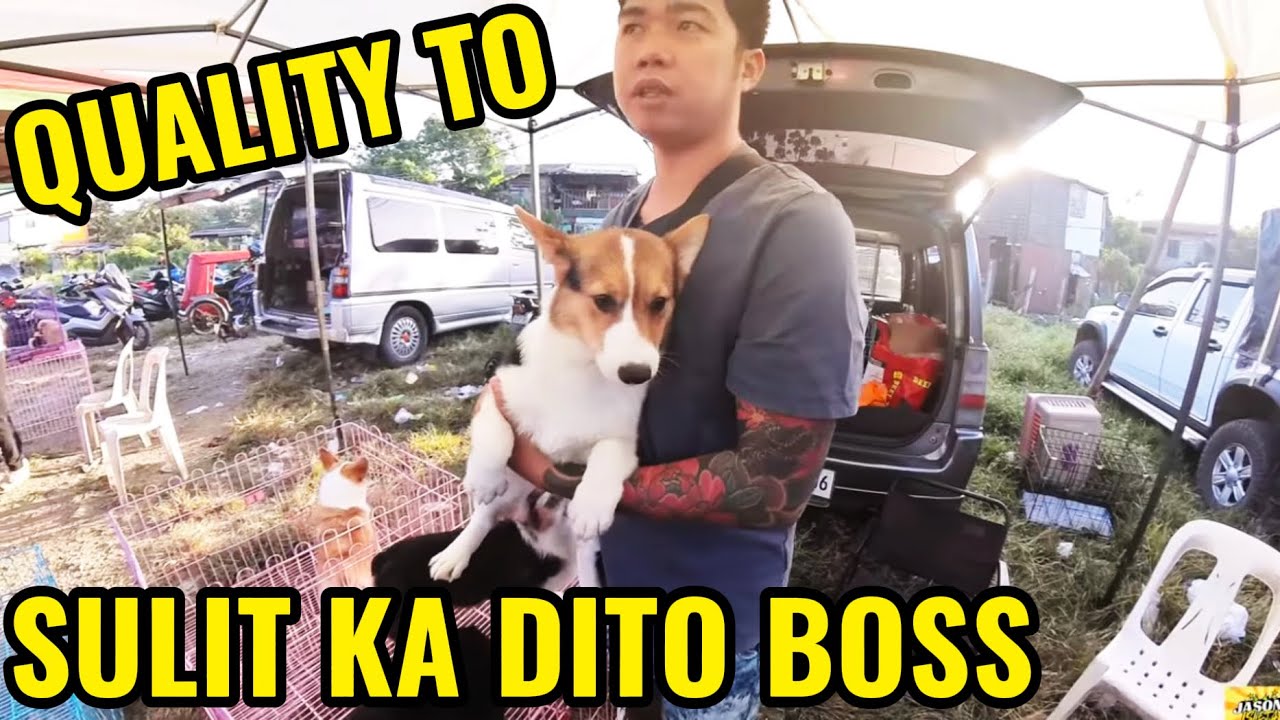 KAGANAPAN SA BOCAUE PET MARKET JAN 23,2026