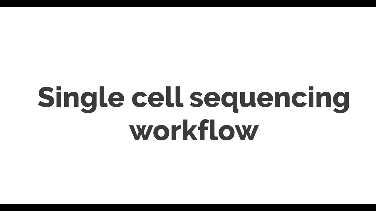 Single-Cell Sequencing Workflow