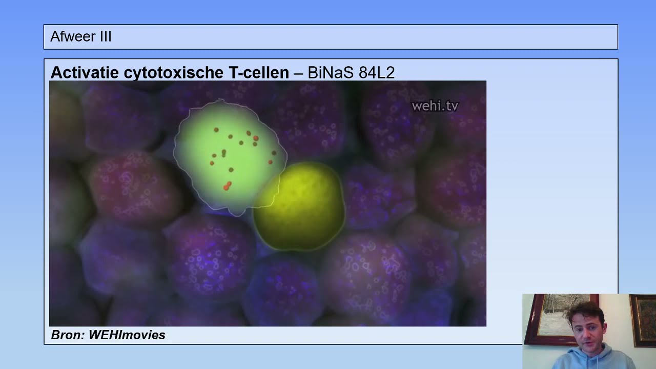 6 vwo | Afweer | 4 | Koppelingseiwitten CD4/CD8 & antistoffen