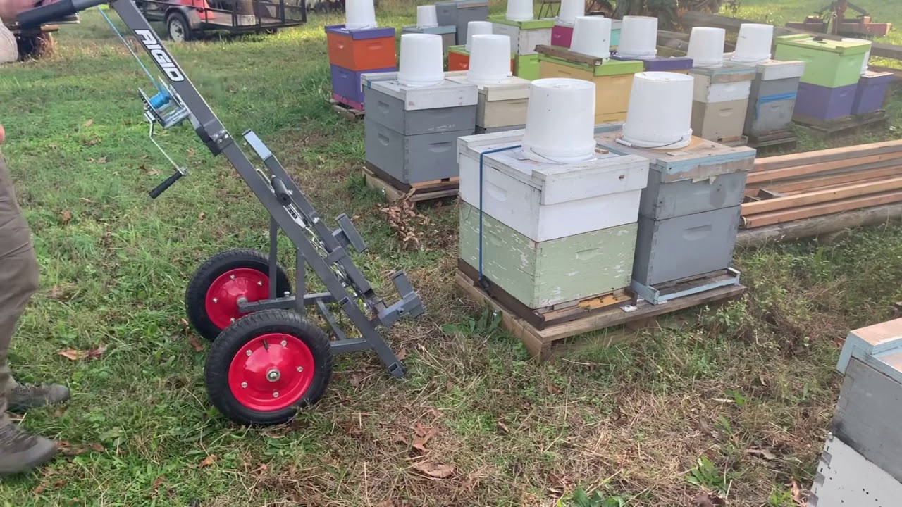 Weighing beehive