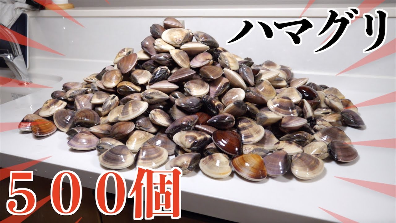 【大食い】ハマグリ５００個を食べつくす！！