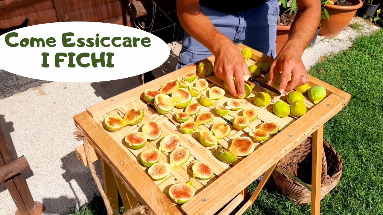 Come Essiccare i Fichi - Preparazione dei fichi secchi