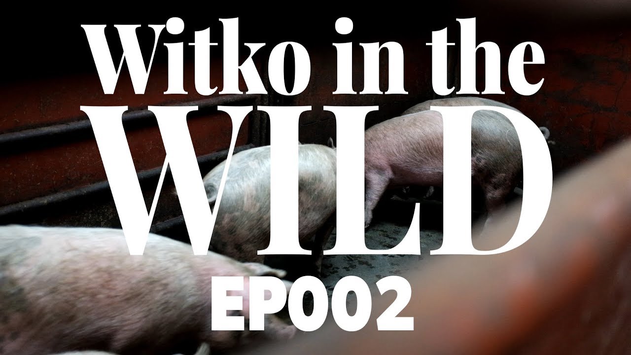 Witko In The Wild : EP002 - Meet Your Meat - Part 2