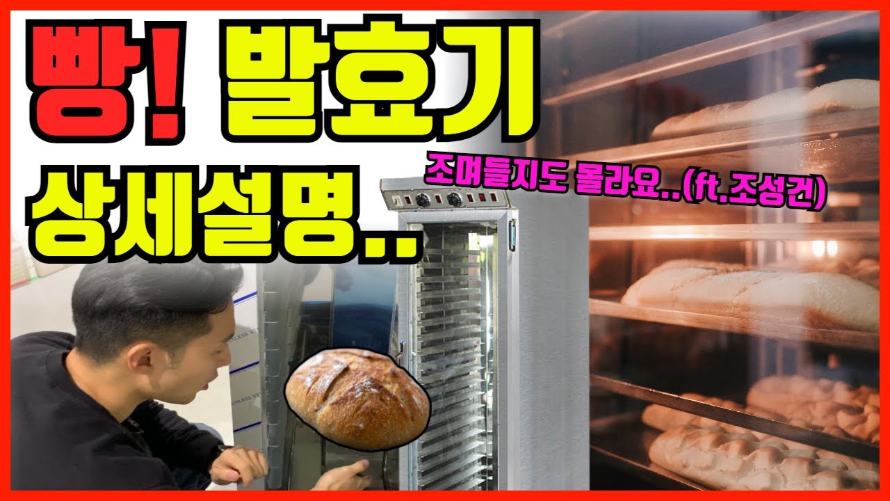 철이 없었죠. 빵이 좋아서 발효기까지 알려준다는 거 자체가.. ★발효기에 대해서 설명해드립니다 .부레옥잠은 왜 나오는 걸까요.