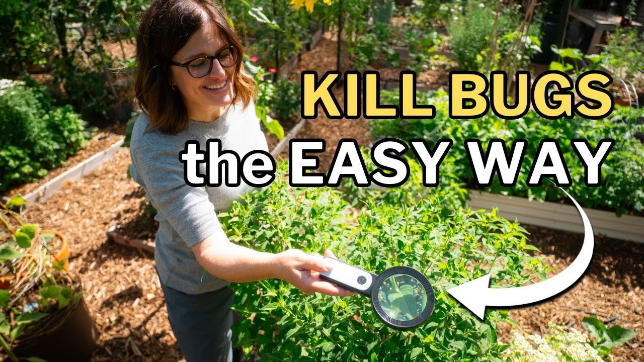 Organic PEST CONTROL that really WORKS!