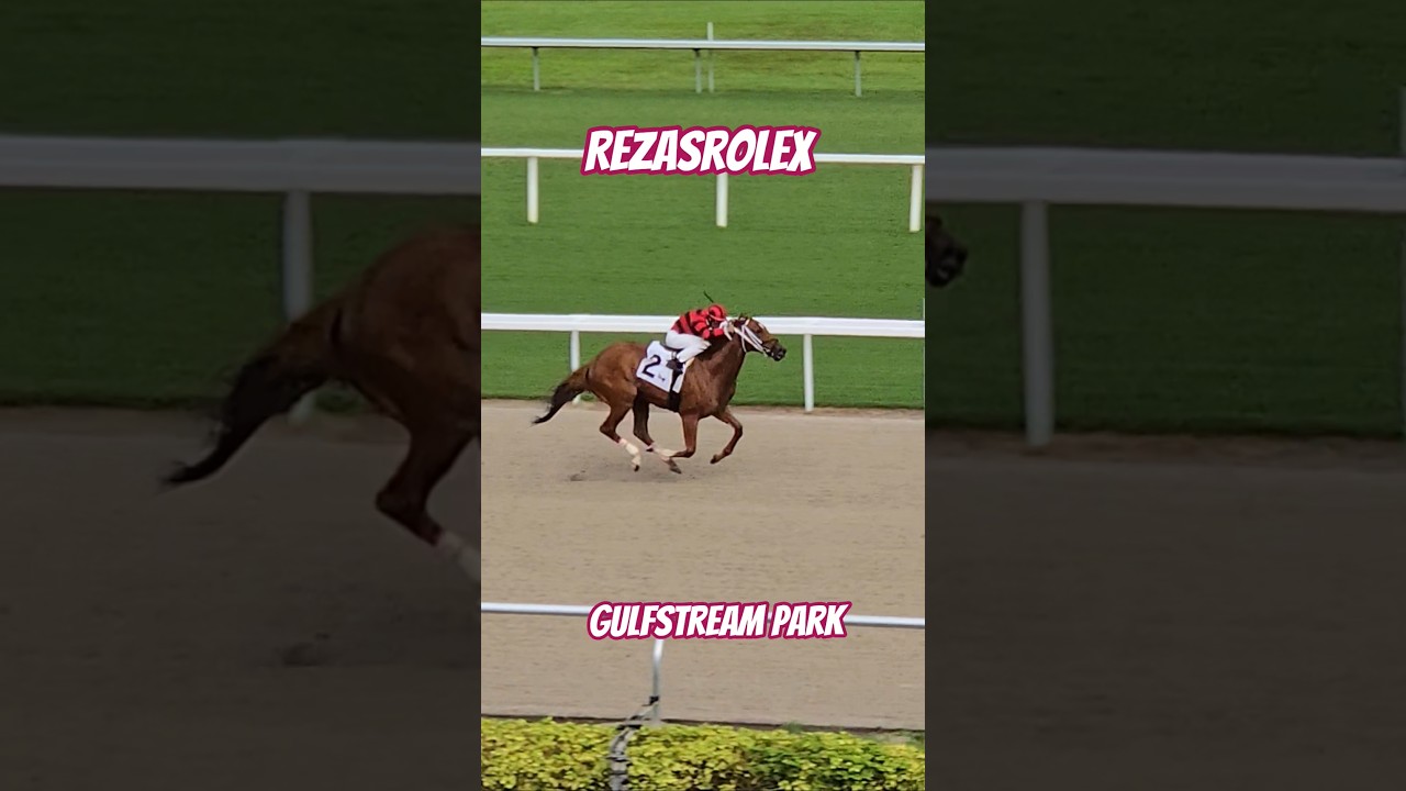 Rezasrolex was too good in race 6, Edwin Gonz&aacute;lez gets his second win today! #GulfstreamPark