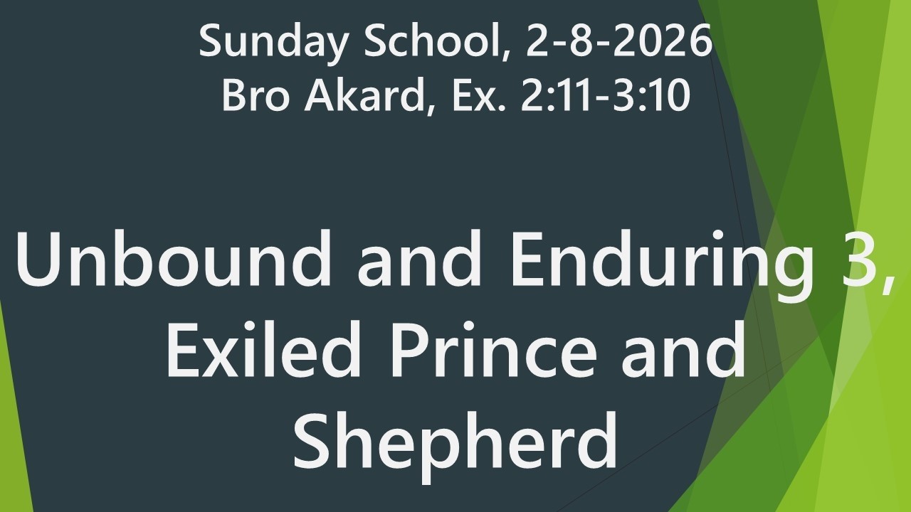 Unbound and Enduring 3, Exiled Prince and Shepherd | Ex. 2-3 / Heb 11, Acts 7 | Sun School 2-8-2026