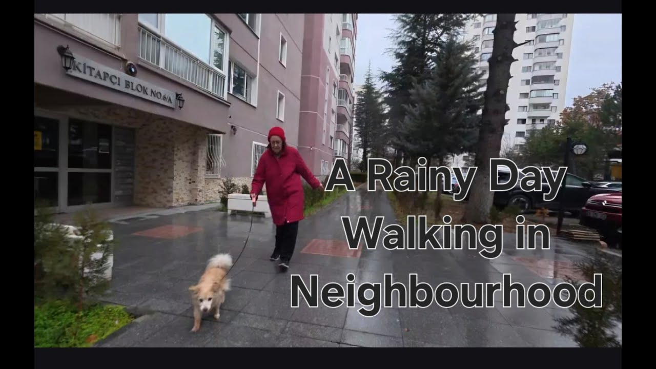 A Rainy Day Walking in Neighbourhood | 4K ASMR