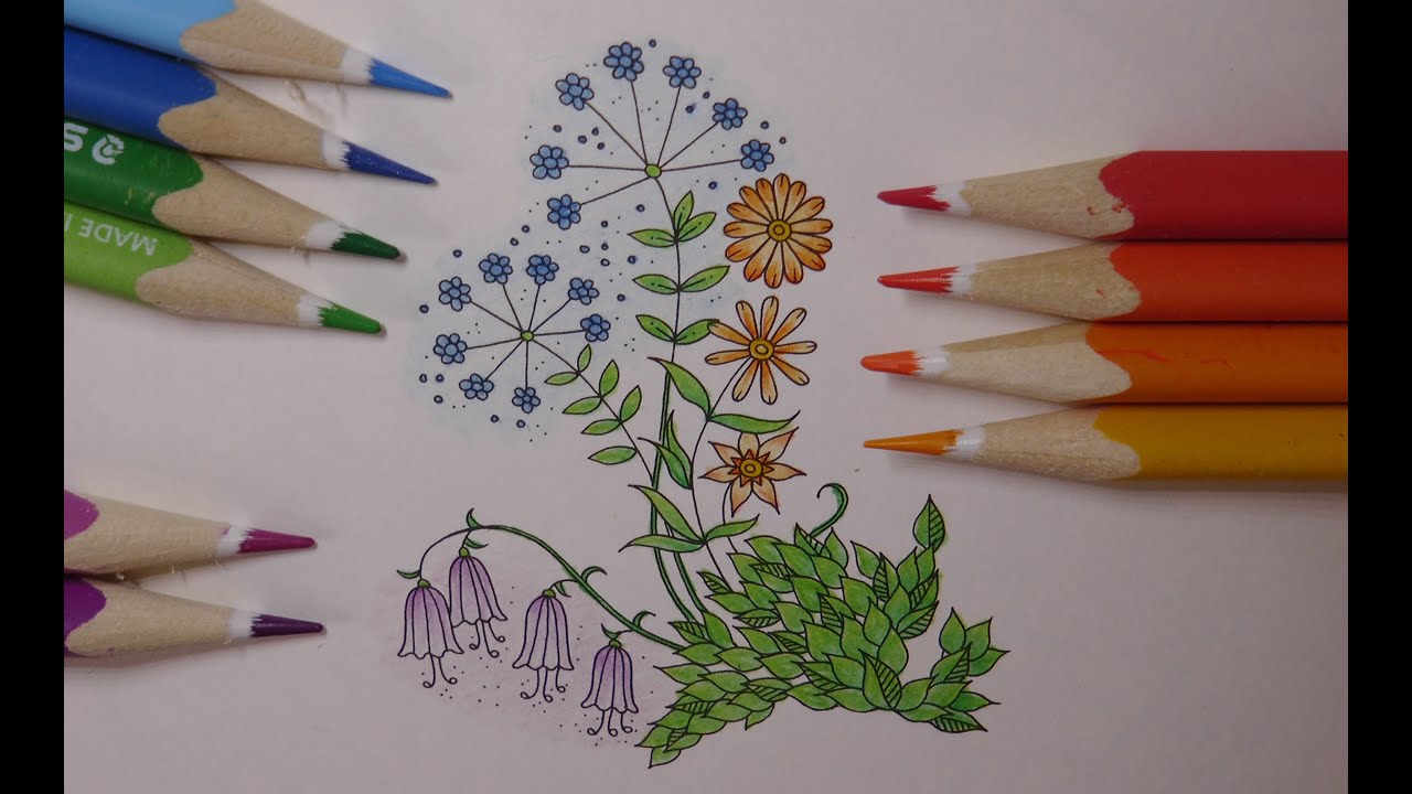 Adult Colouring Tutorial Floral Group - from Miniature Secret Garden by Johanna Basford