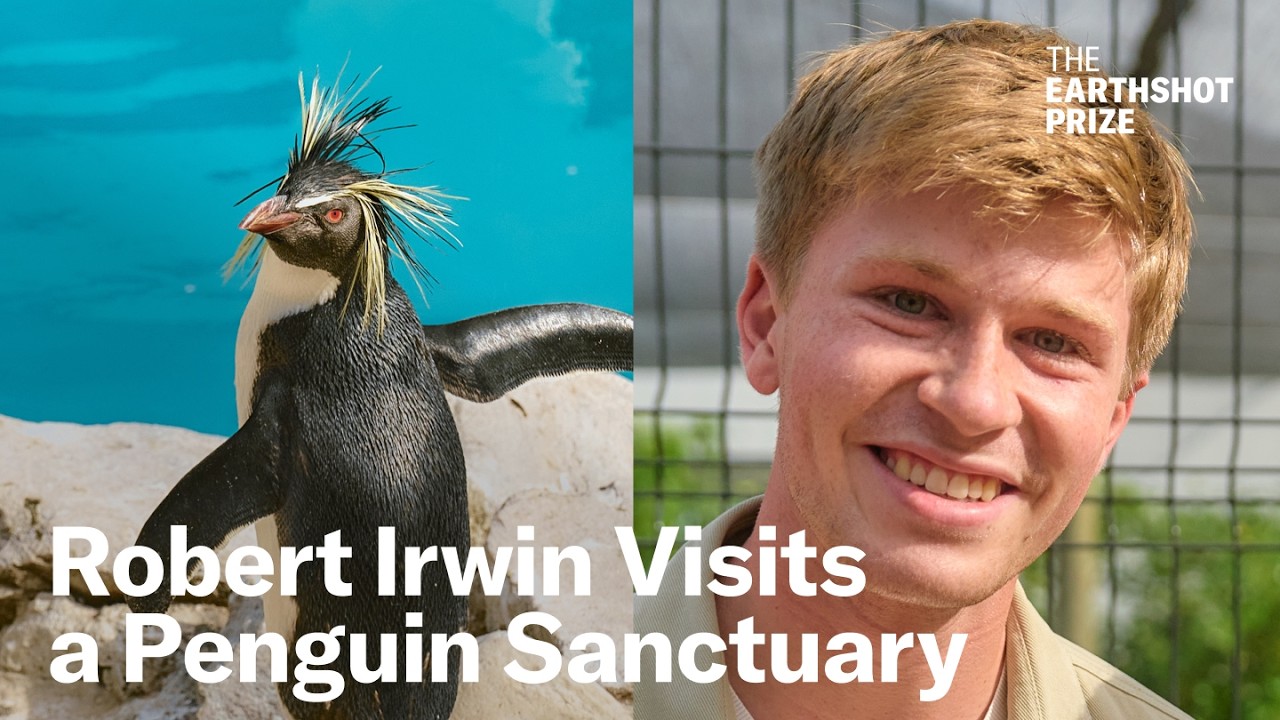 Robert Irwin Explores Penguin Sanctuary in Cape Town | World Wildlife Day