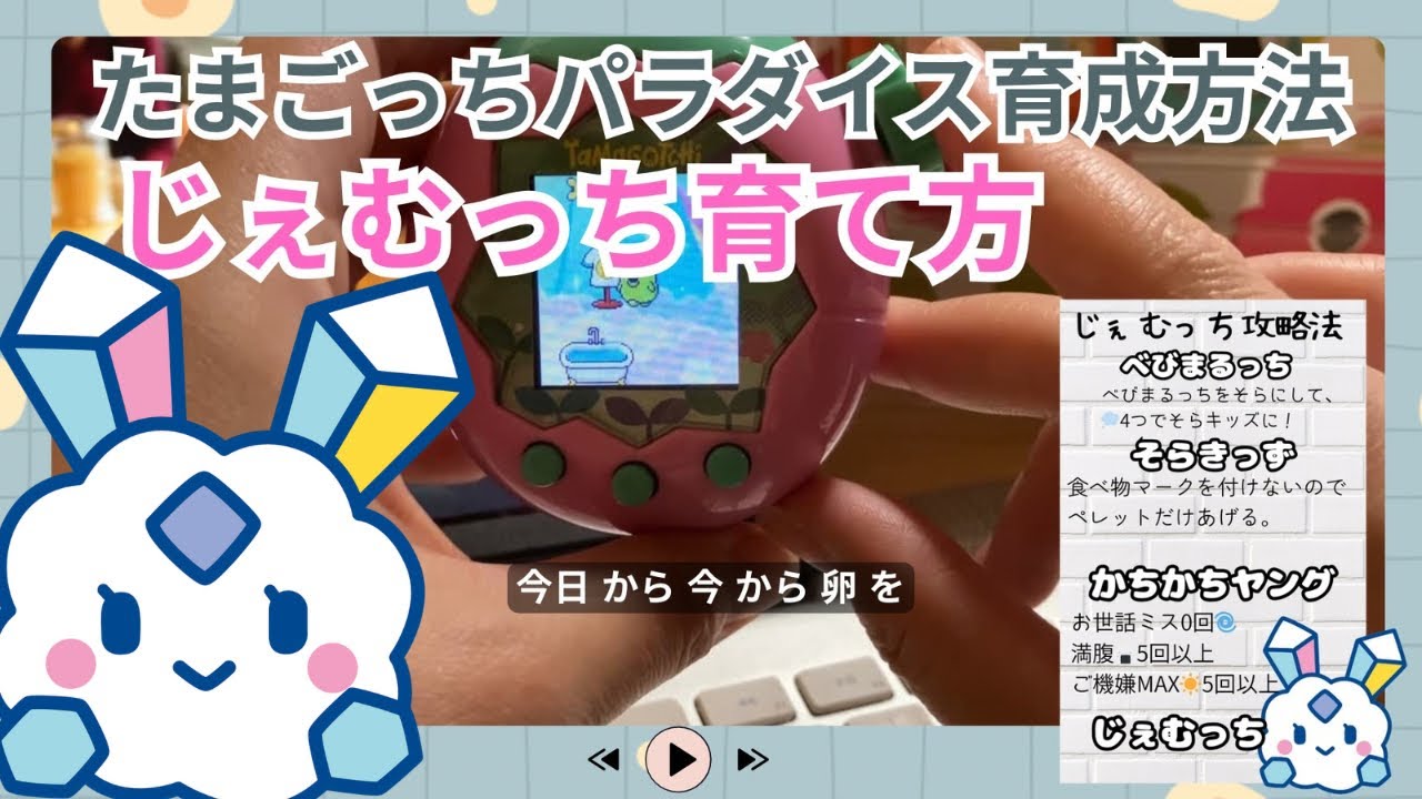 たまごっちパラダイス、じぇむっちの育成方法。ごはんの種類、お世話ミスの回数など。じぇむっちのポイントまとめ。