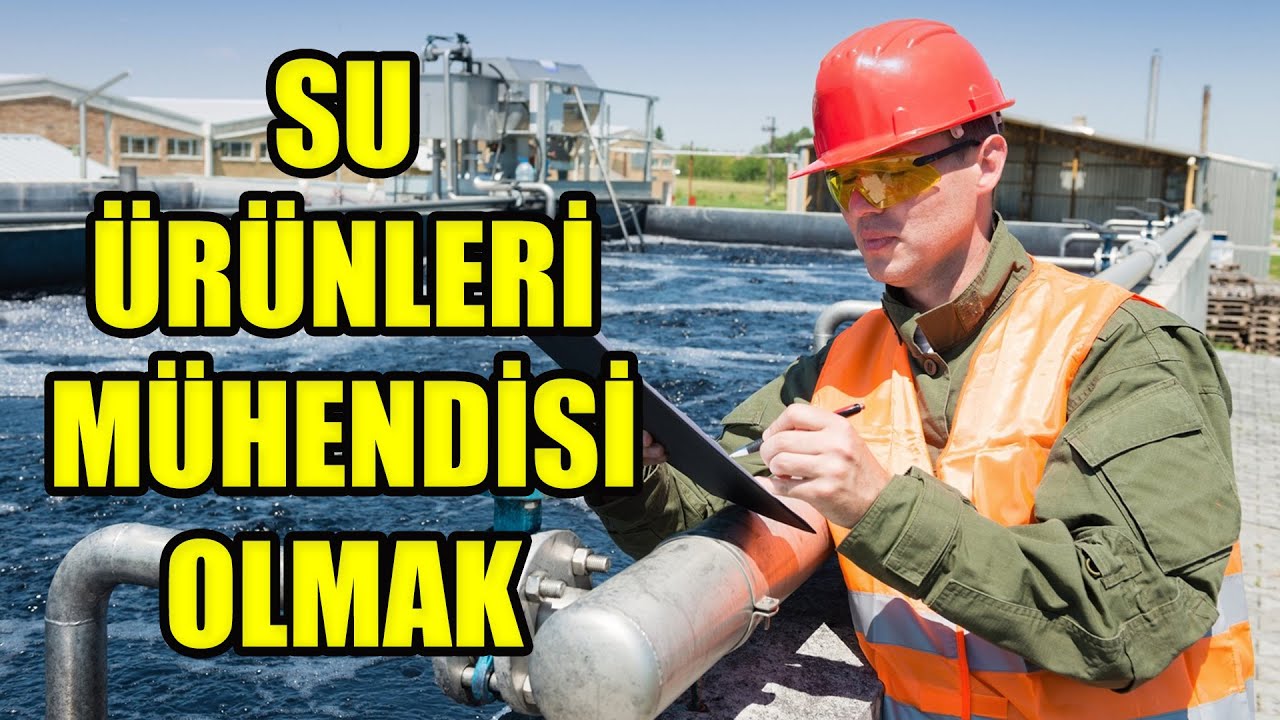 Su Ürünleri Mühendisi ve Dalgıç Nedir? Ne İş Yapar? | Sıtkı Can Bayar yorumluyor