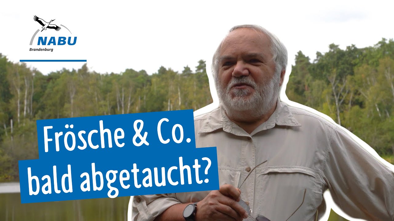 Krötenexperte gefragt: Wie geht es Amphibien und Reptilien?
