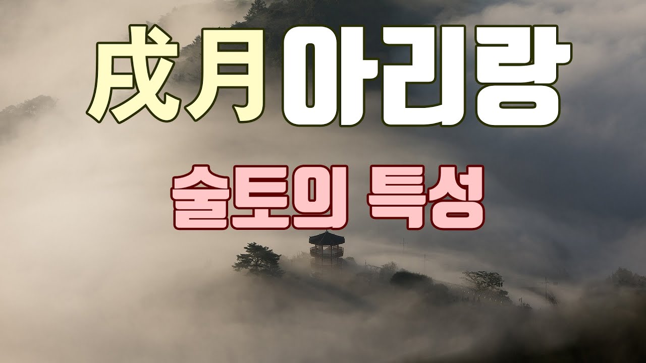 [술월 아리랑] 사주팔자 술토의 특성