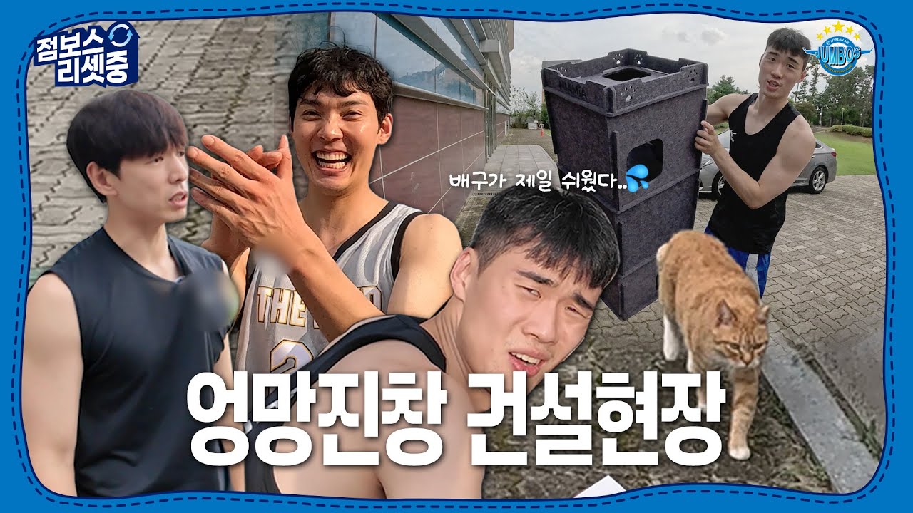 [점보스리셋중] 배구선수의 비시즌 할 일✅고양이집 재건축