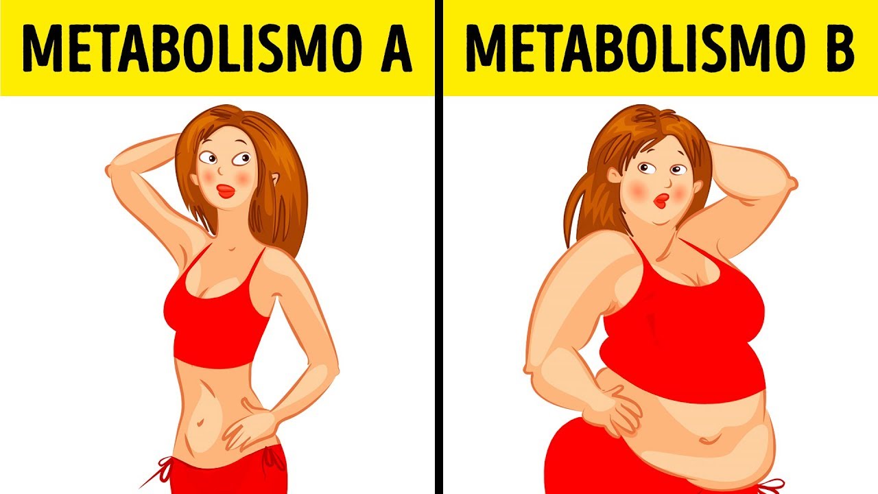 Cos'è la dieta metabolica e perché funziona per chiunque
