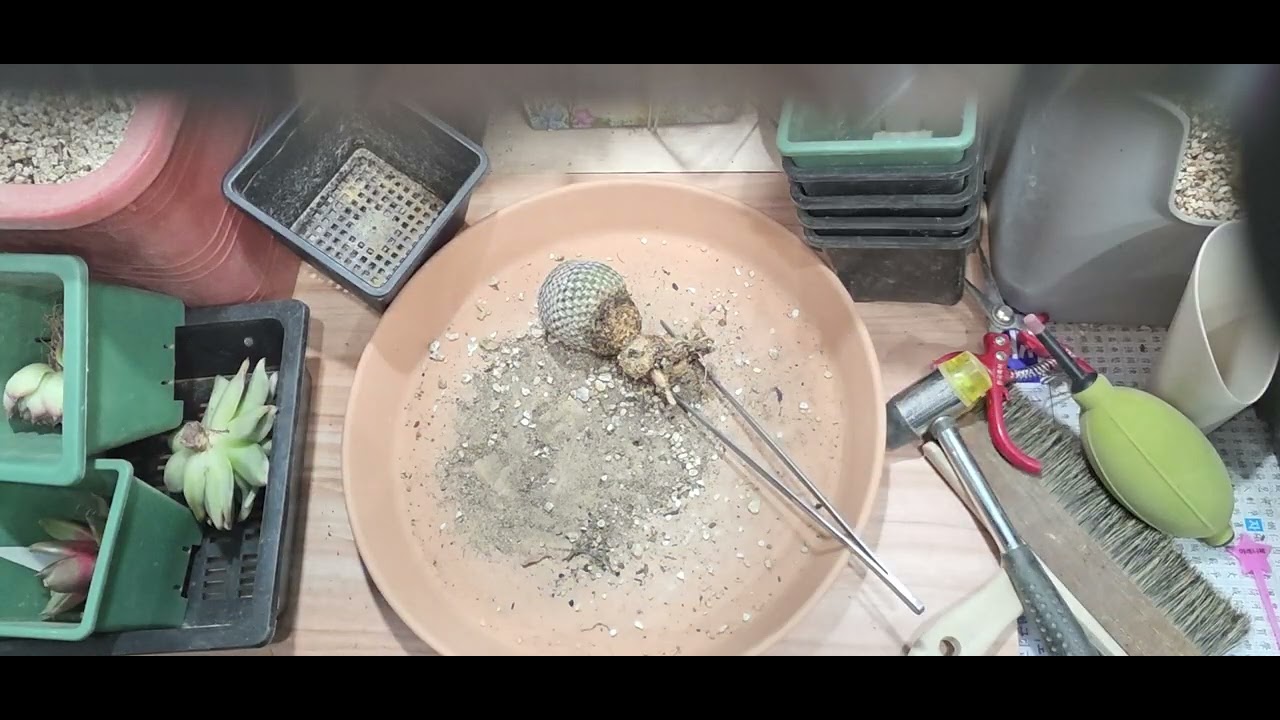 3/17  잠자지전에   몇아이만 살펴줄께요