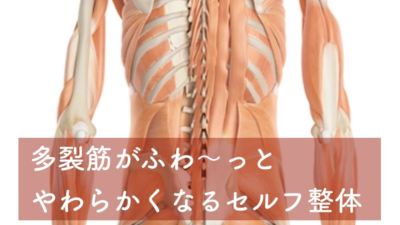 多裂筋（起立筋）のセルフ整体（セルフミオンパシー）【腰痛のためのセルフ整体】