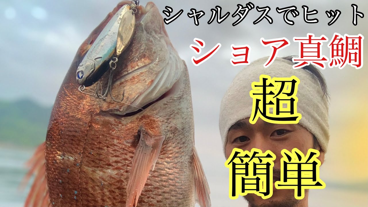BlueBlueのシャルダスで真鯛がヒット！投げて巻いてドン！