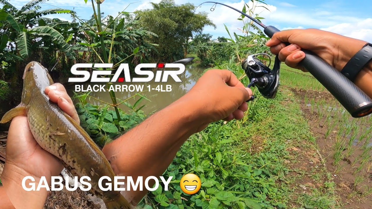 LANGSUNG DI SAMBAR .. !! TES JORAN CASTING SEASIR BLACK ARROW || SUPER RINGAN FULL FUJI